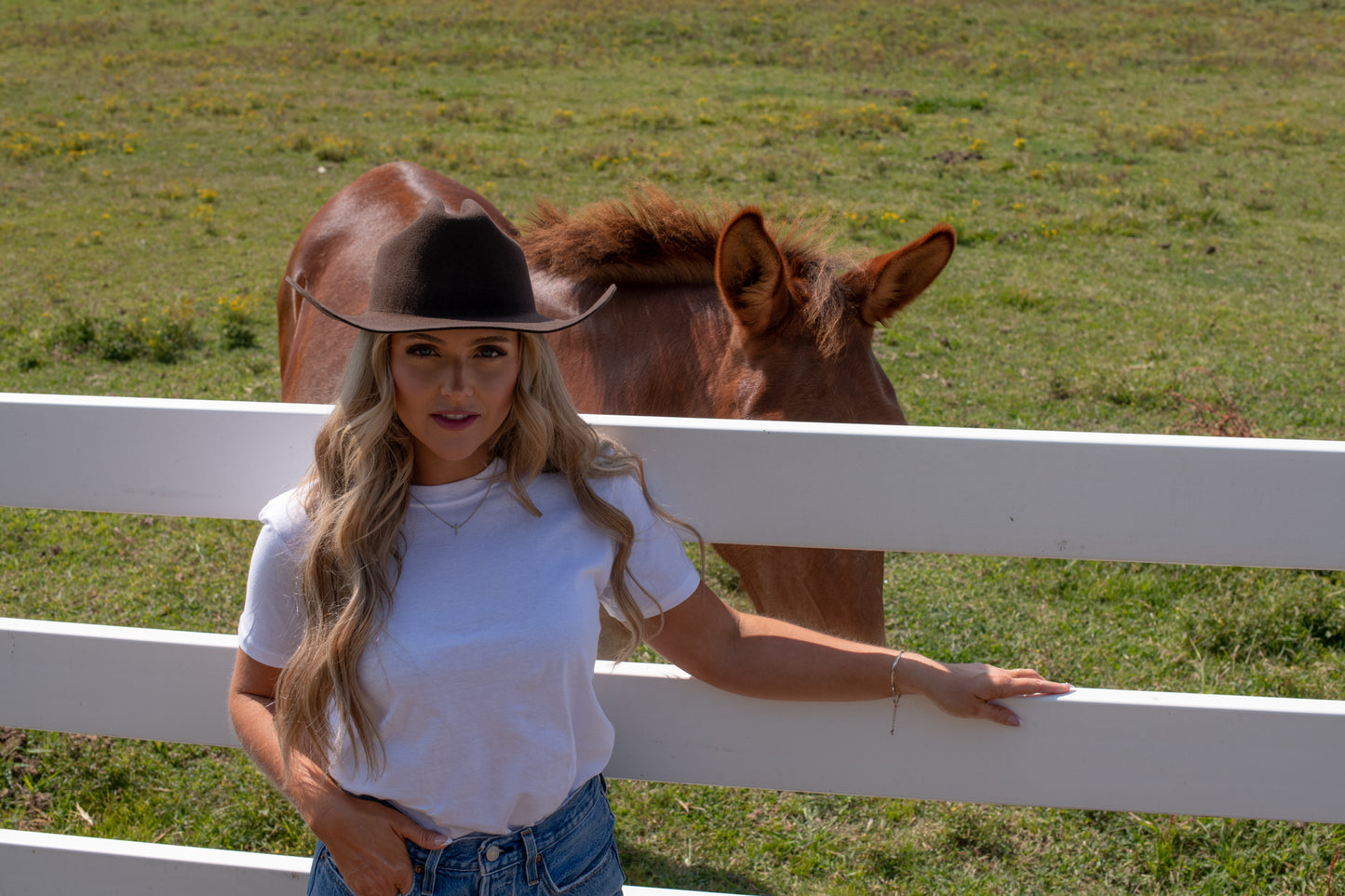 Chocolate Brown Cowboy Hat